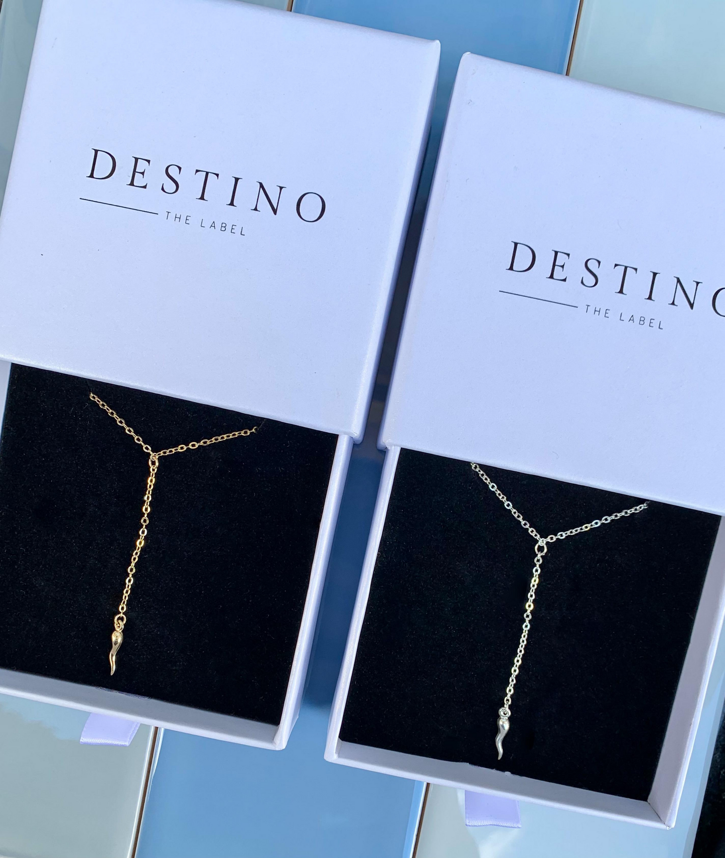 Cornicello Drop Necklace